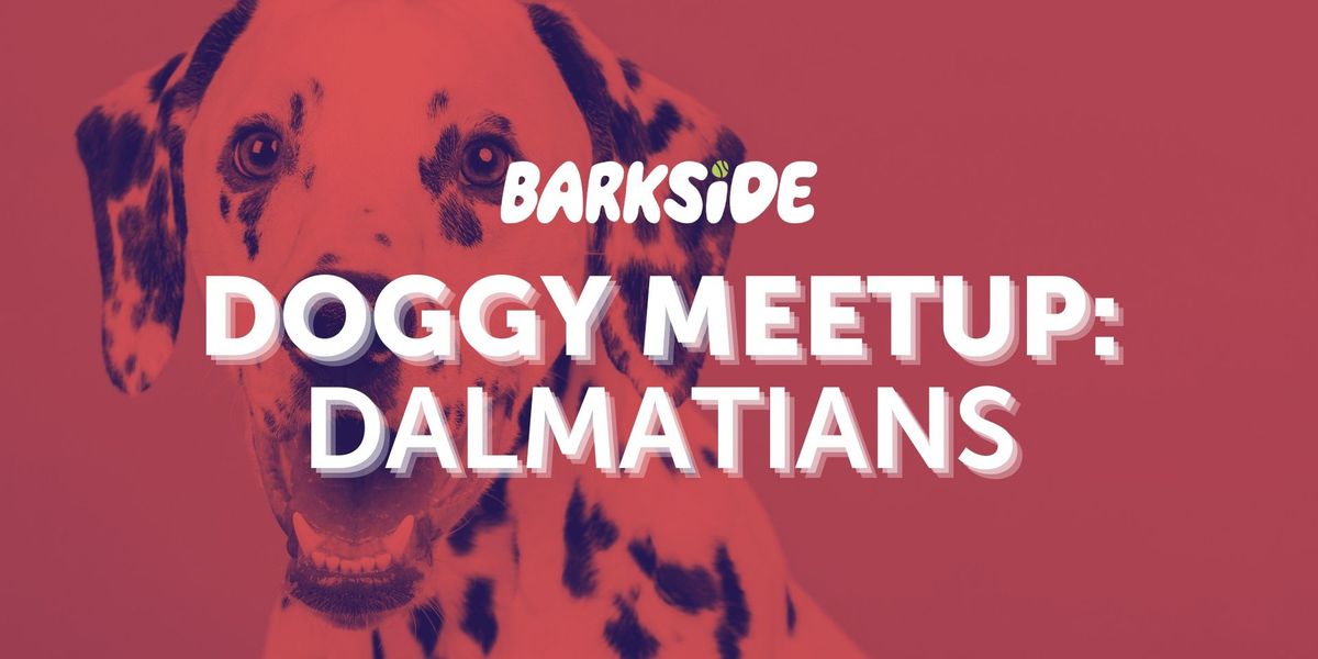 Doggy Meetup: Dalmatians