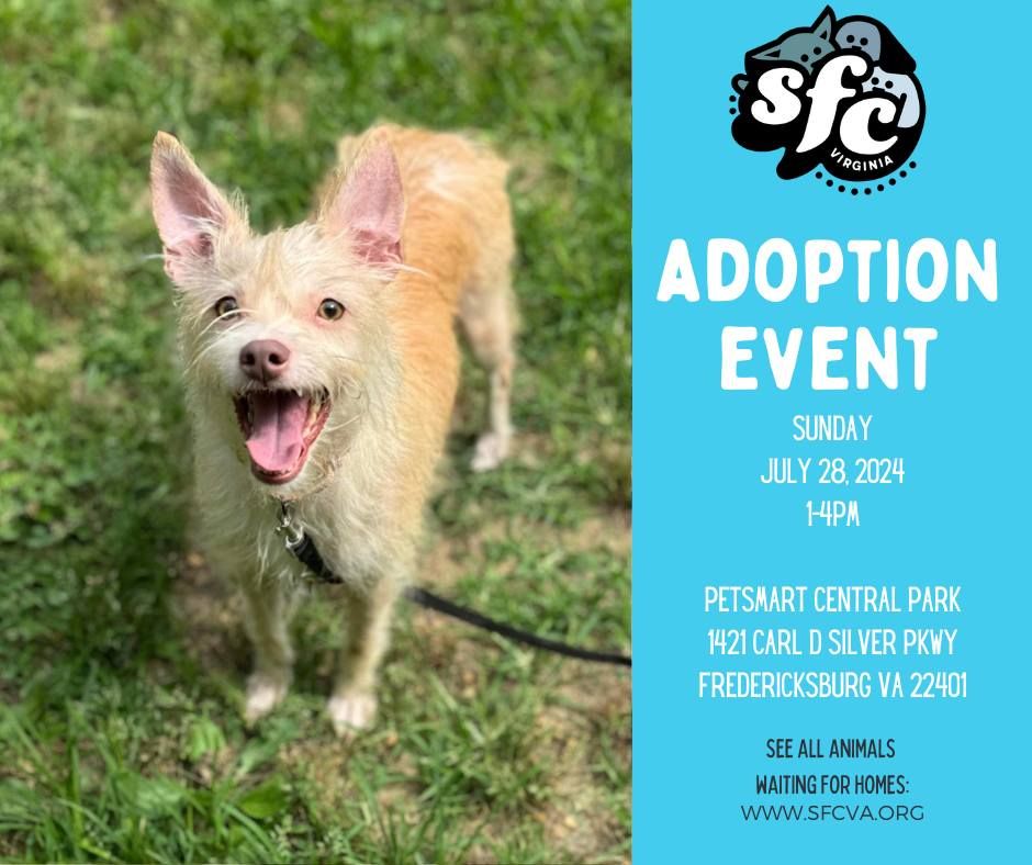 7\/28 Sunday Adoption Event at Petsmart Central Park