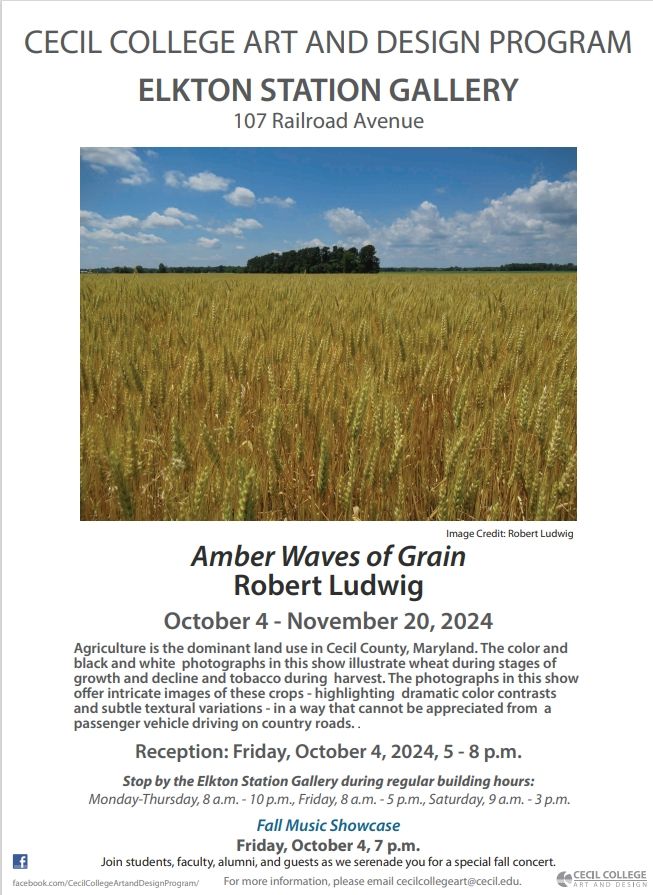 Amber Waves of Grain