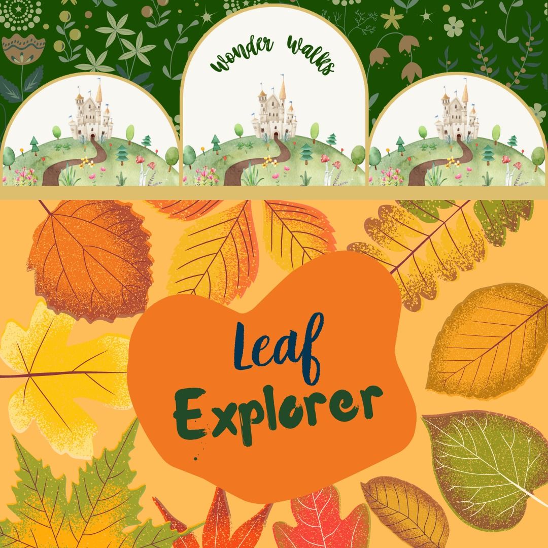 Wonder Walks: Leaf Explorer