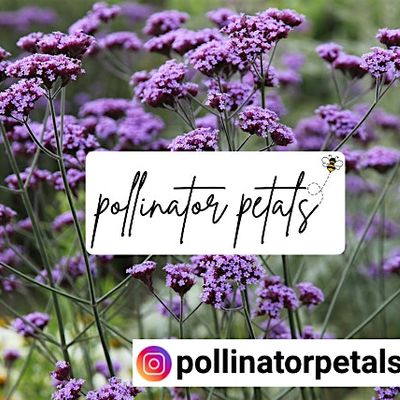 Pollinator Petals