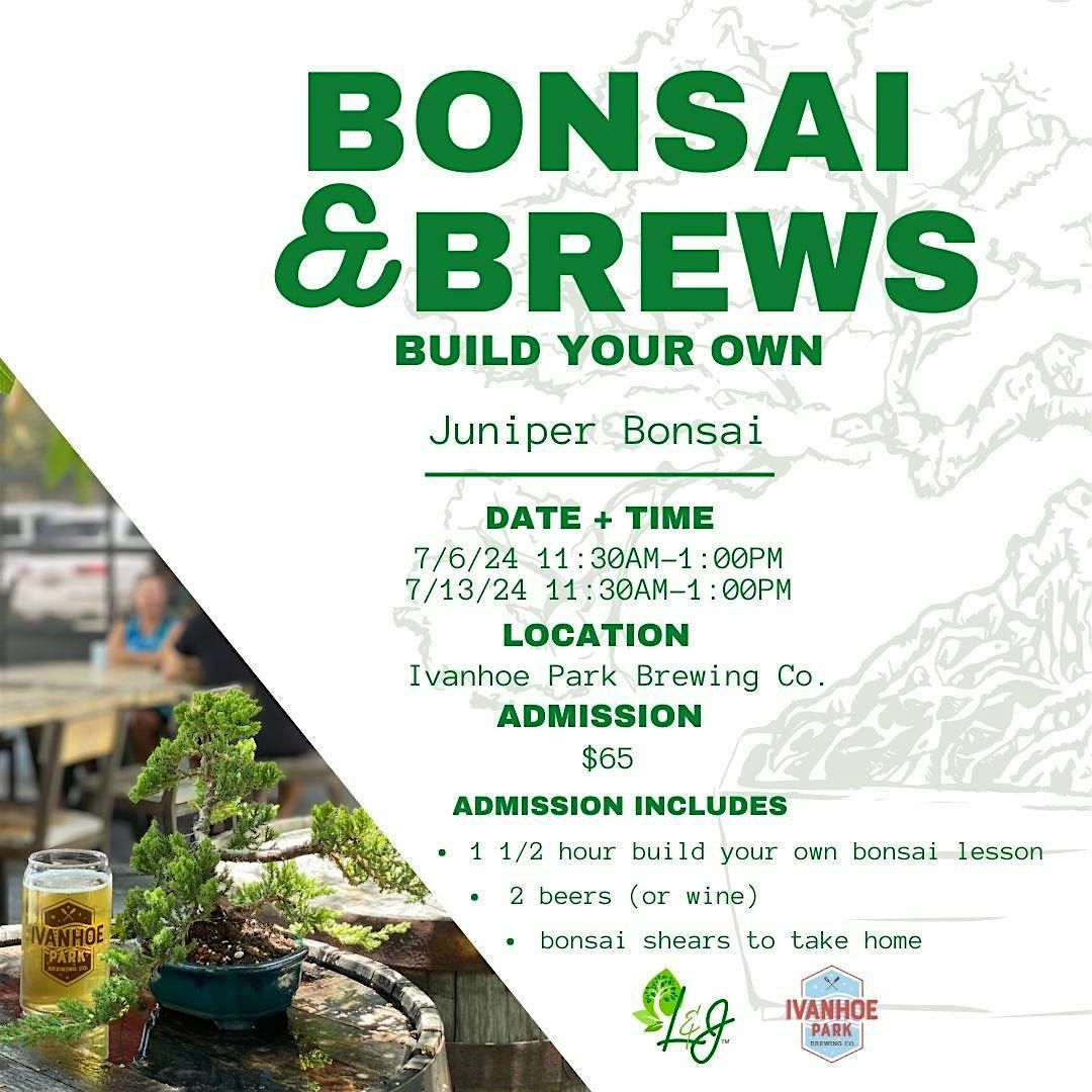 Bonsai and Brews - Ivanhoe Park Brewing - Juniper Bonsai 7\/6