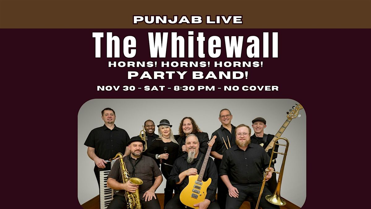 The Whitewalls @Punjab Live