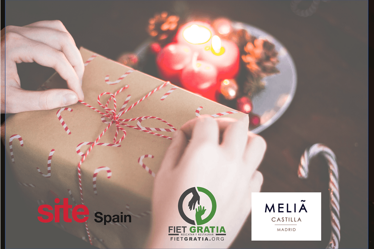 VI SITE SPAIN CHARITY DAY MADRID | 9:00 AM | HOTEL MELIA CASTILLA