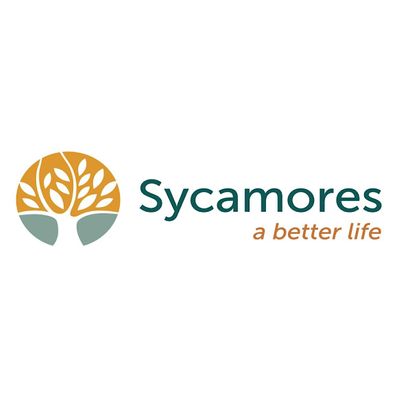 Sycamores