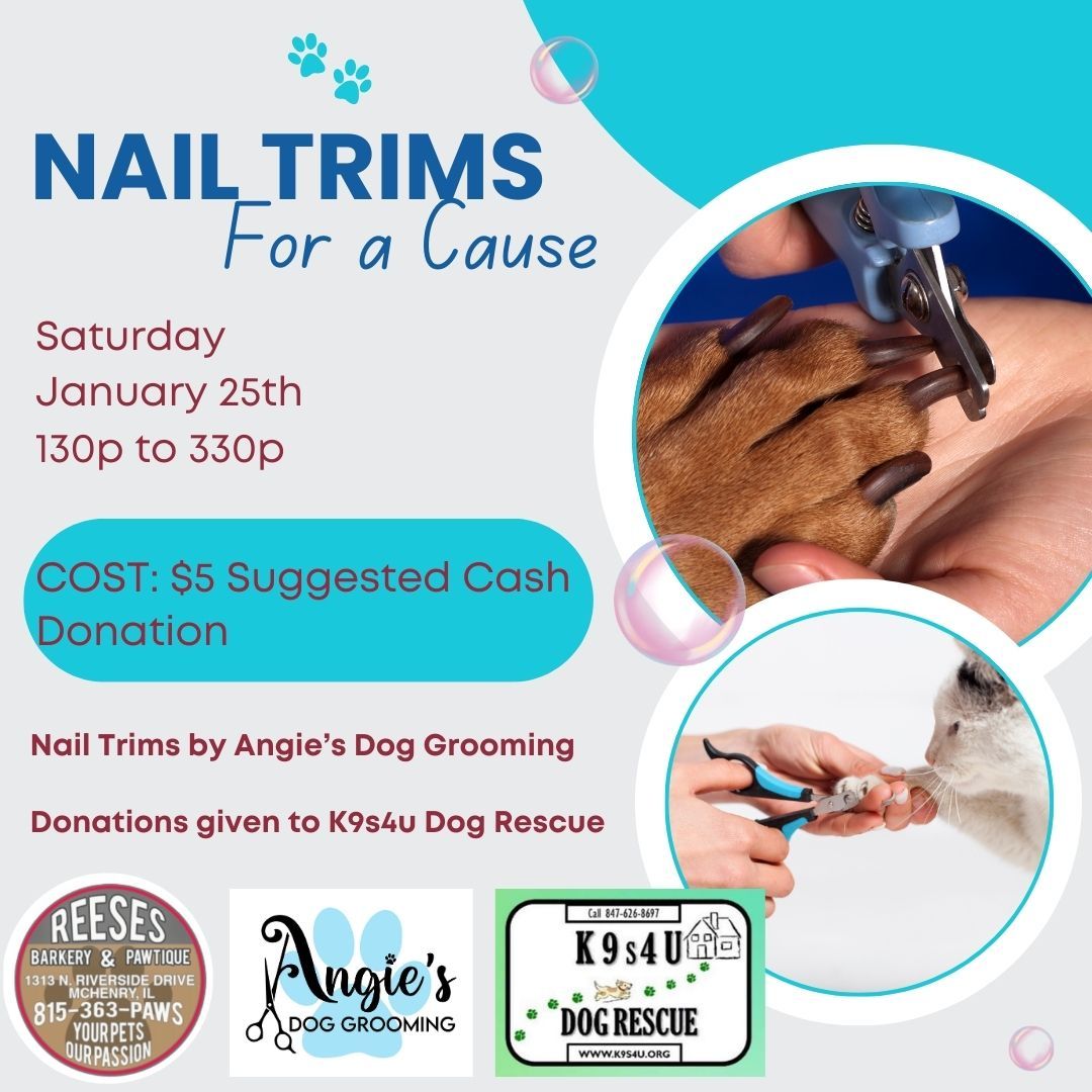 Nail Trims for a Cause