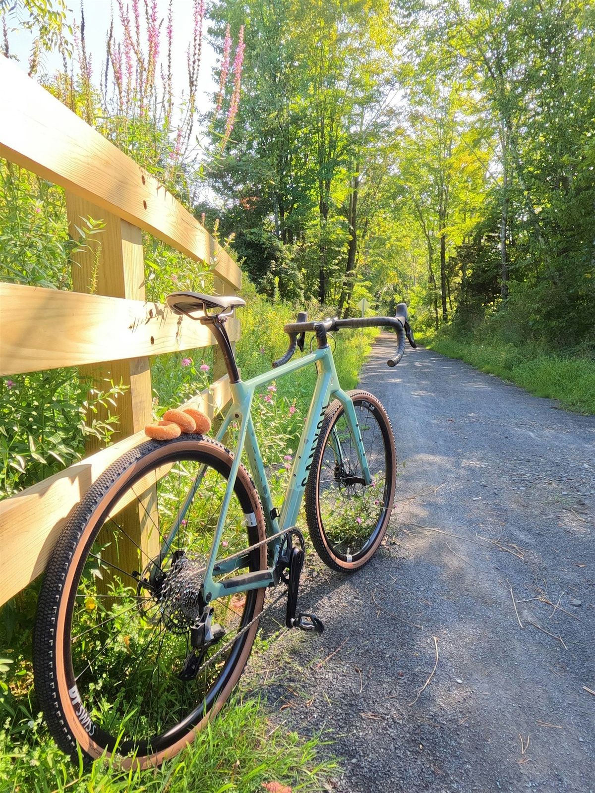 Cider Donut Bike Tour