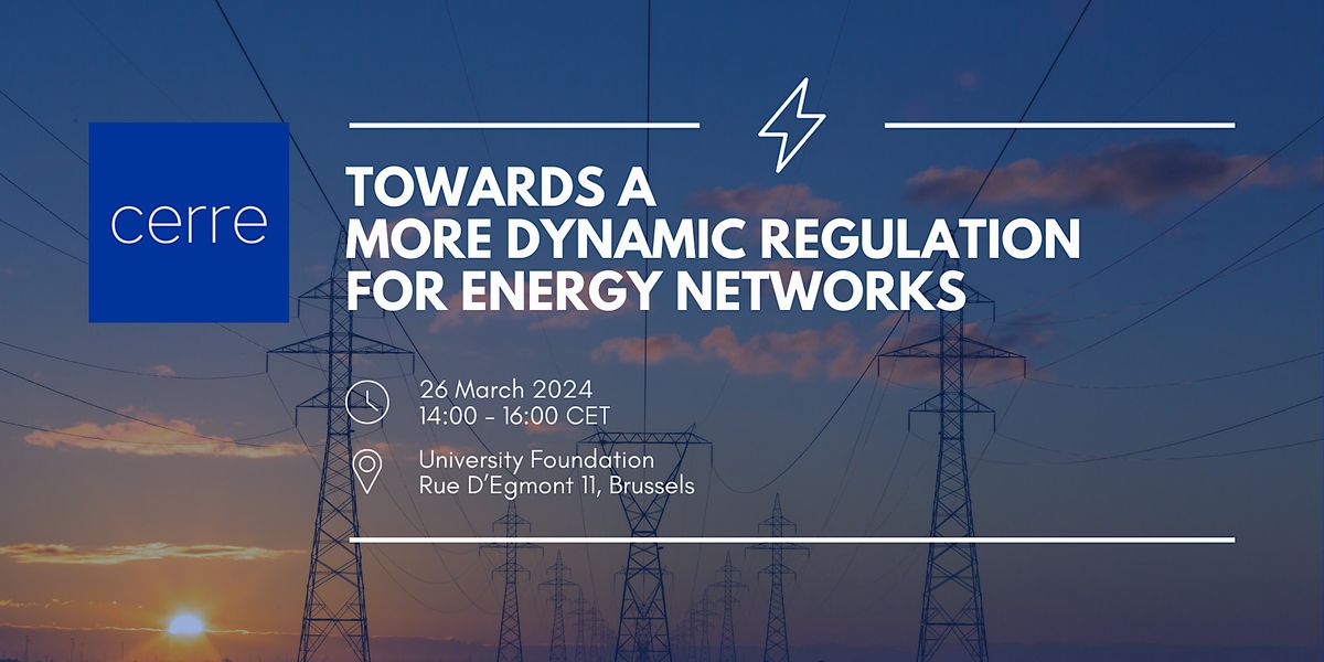 Towards a More Dynamic Regulation for Energy Networks