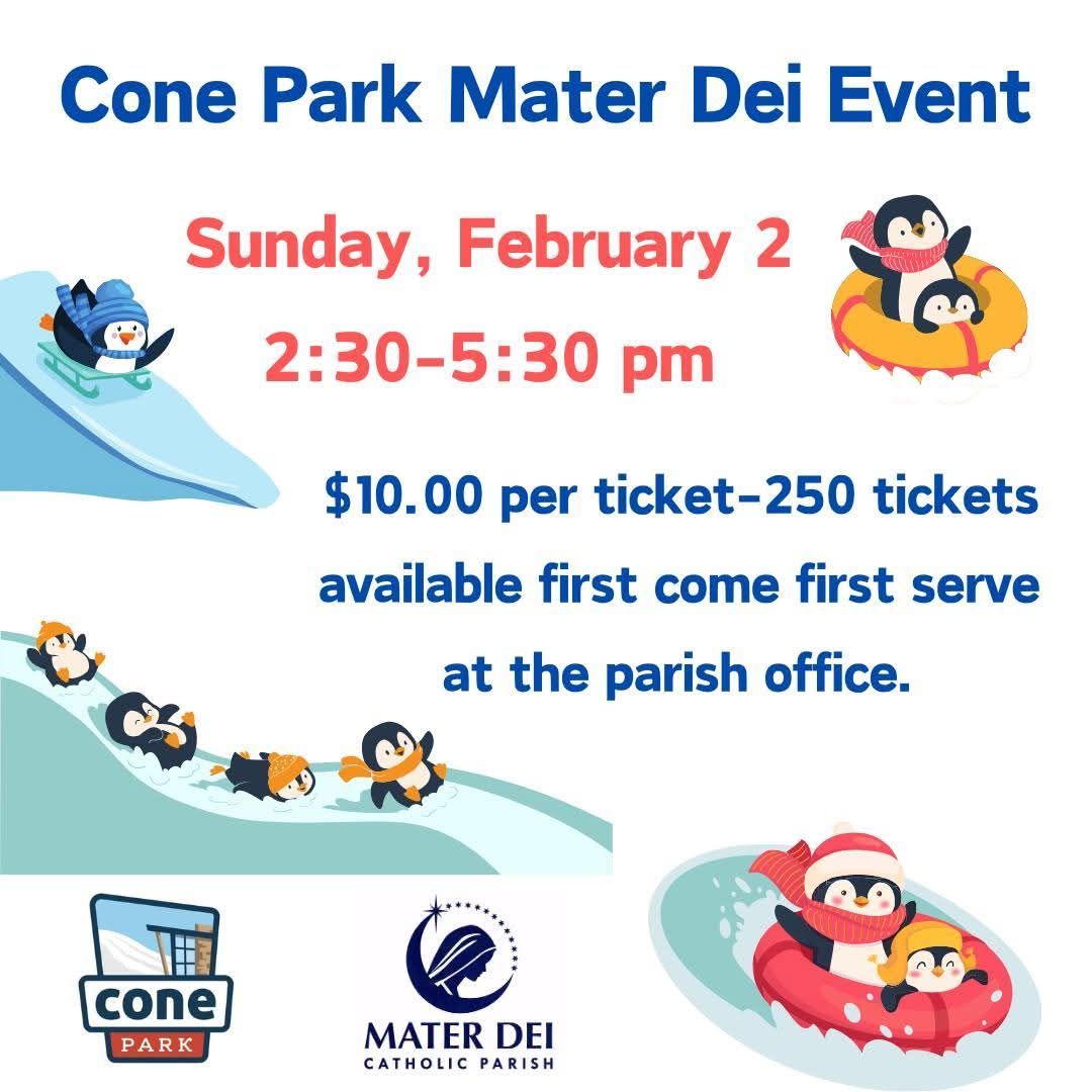 Mater Dei Cone Park