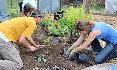 Hands-On Gardening Workshop