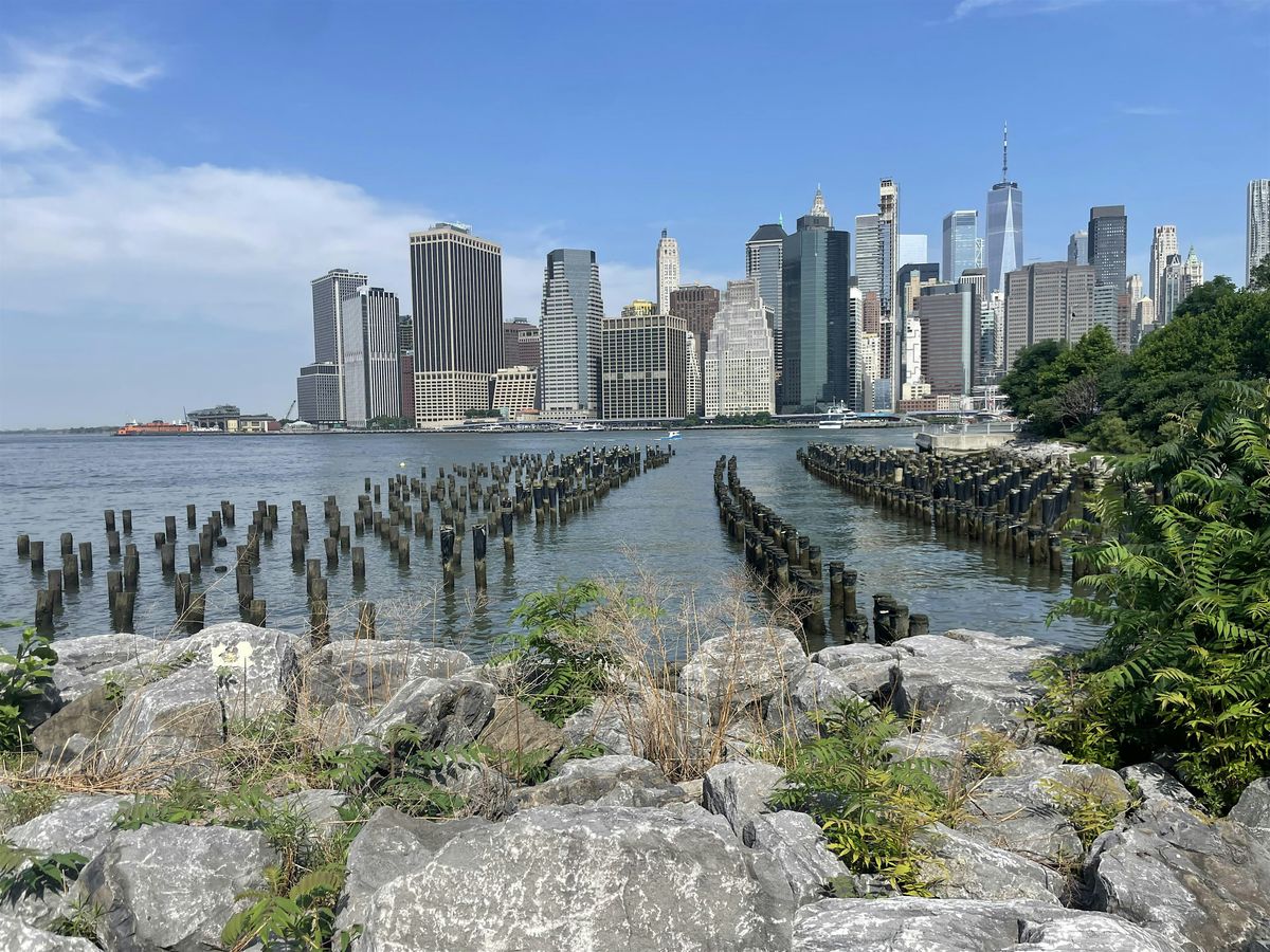 Walk Manhattan to Brooklyn, Red Hook, Industry City and more!