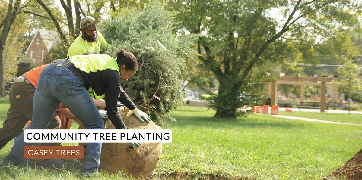 Community Tree Planting: Anacostia Park