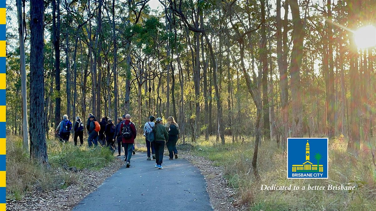 12 Days of Christmas \u2013 Twilight Walk (Chermside Hills Giwadha Track)