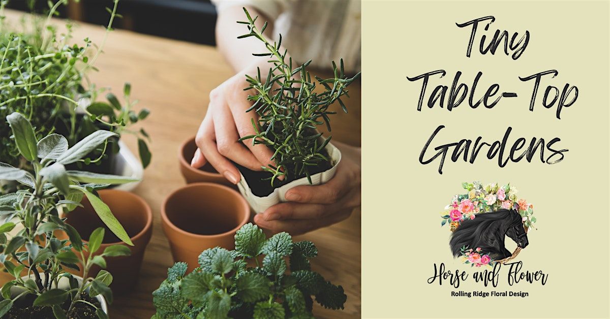 Tiny Table-Top Gardens -  a DIY Flower and Herb  Garden Workshop