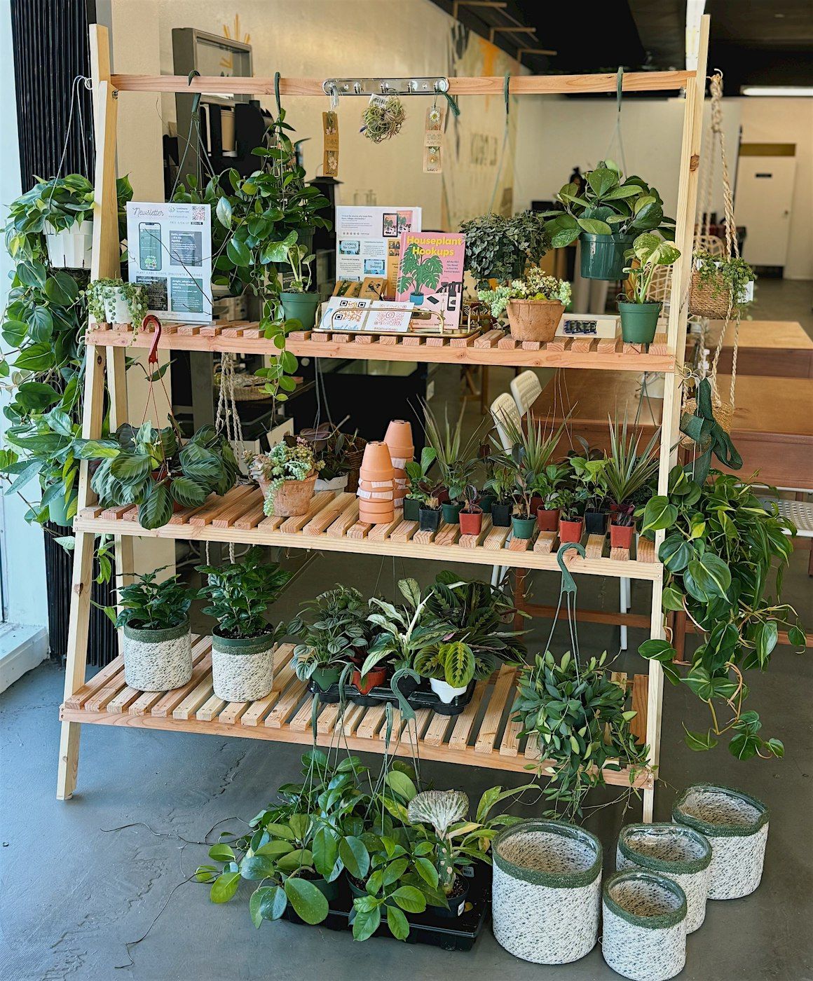 Upcycled Planter & Spring Care Houseplant Workshop | Earth Day Everyday!
