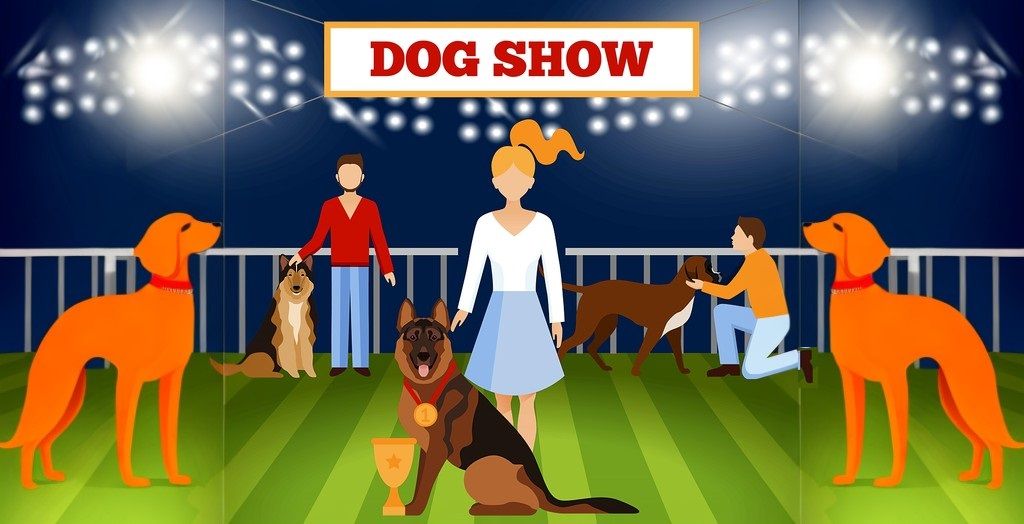 IABCA's 2024 Lone Star Autumn Sieger International Dog Show