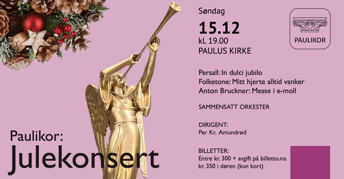 Julekonsert med Paulikor