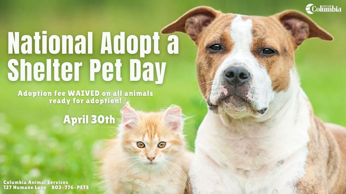 Columbia Animal Services Free Adoption Day!