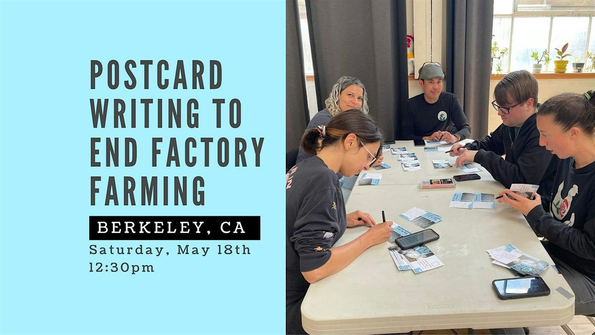 Postcard Writing To End Factory Farming!