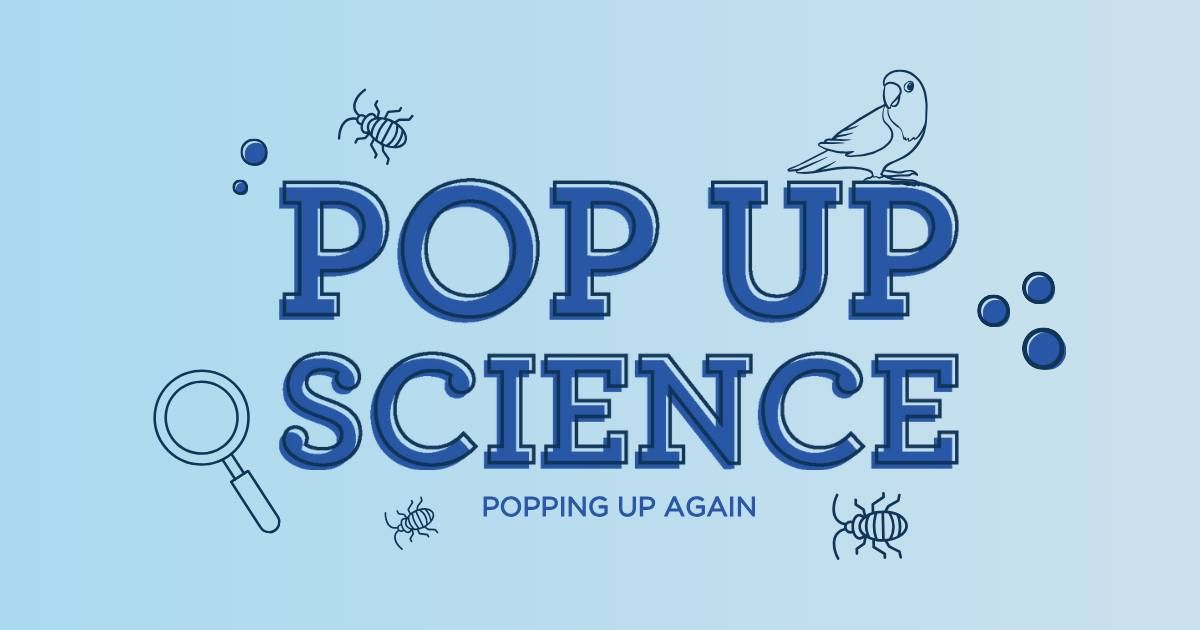 Pop Up Science: Popping Up Again
