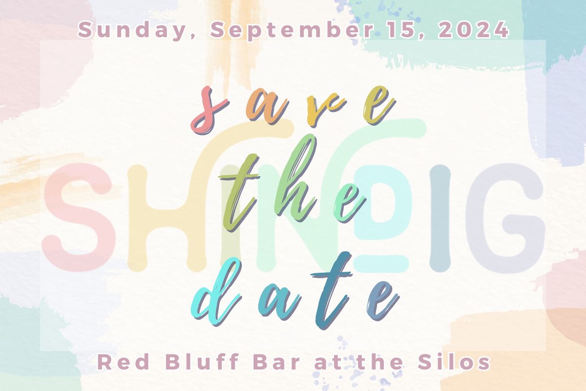 Shindig 2024: A Family-Friendly Event Benefitting Child Protect Children's Advocacy Center