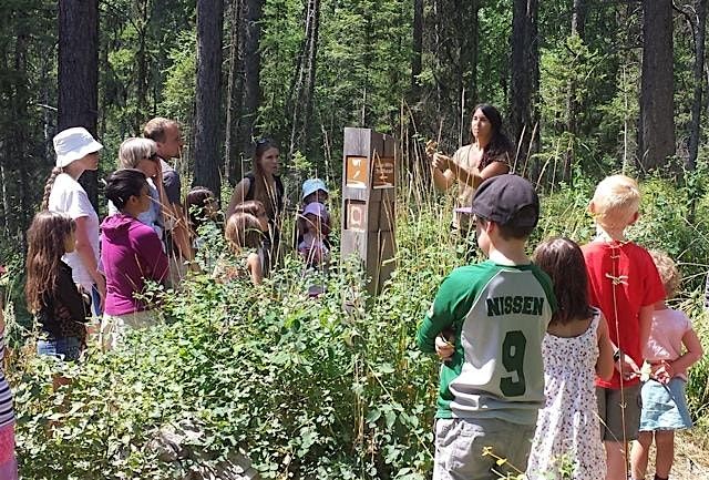 Kids' Forest Critters Hike