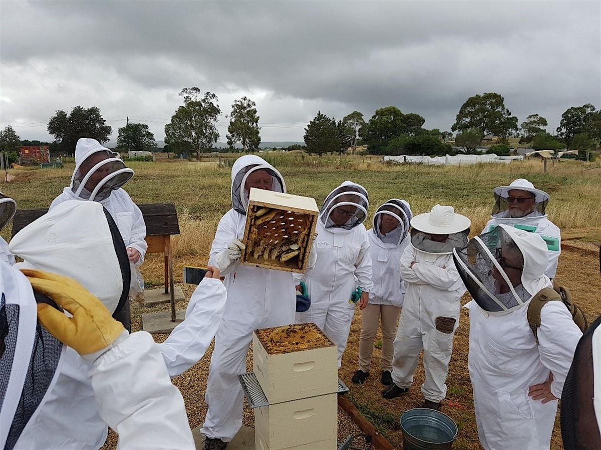 December Beekeeping for Beginners - 2 Day Course