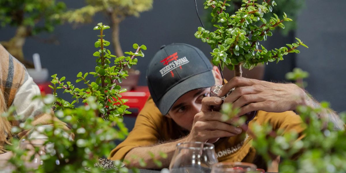 Bonsai Workshop at Long Beach Beer Lab (Wrigley)