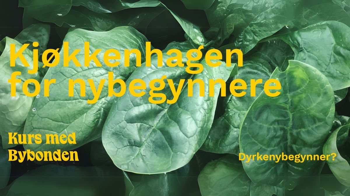 Kurs med Bybonden: Kj\u00f8kkenhagen for nybegynnere\ud83e\udd6c