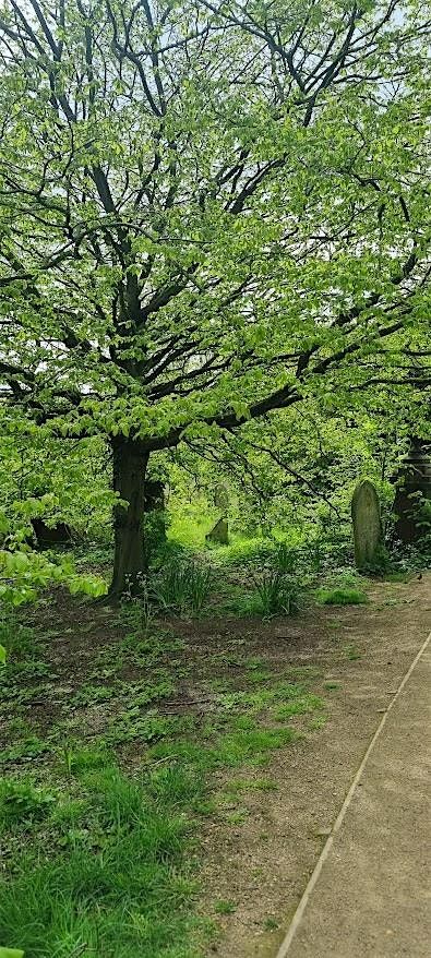 How Mill Road Cemetery came to be