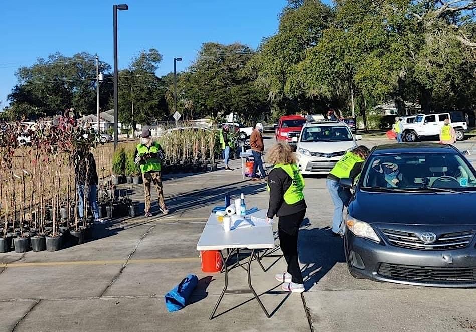 Volunteer - Free Tree Drive Thru - Fernandina Beach