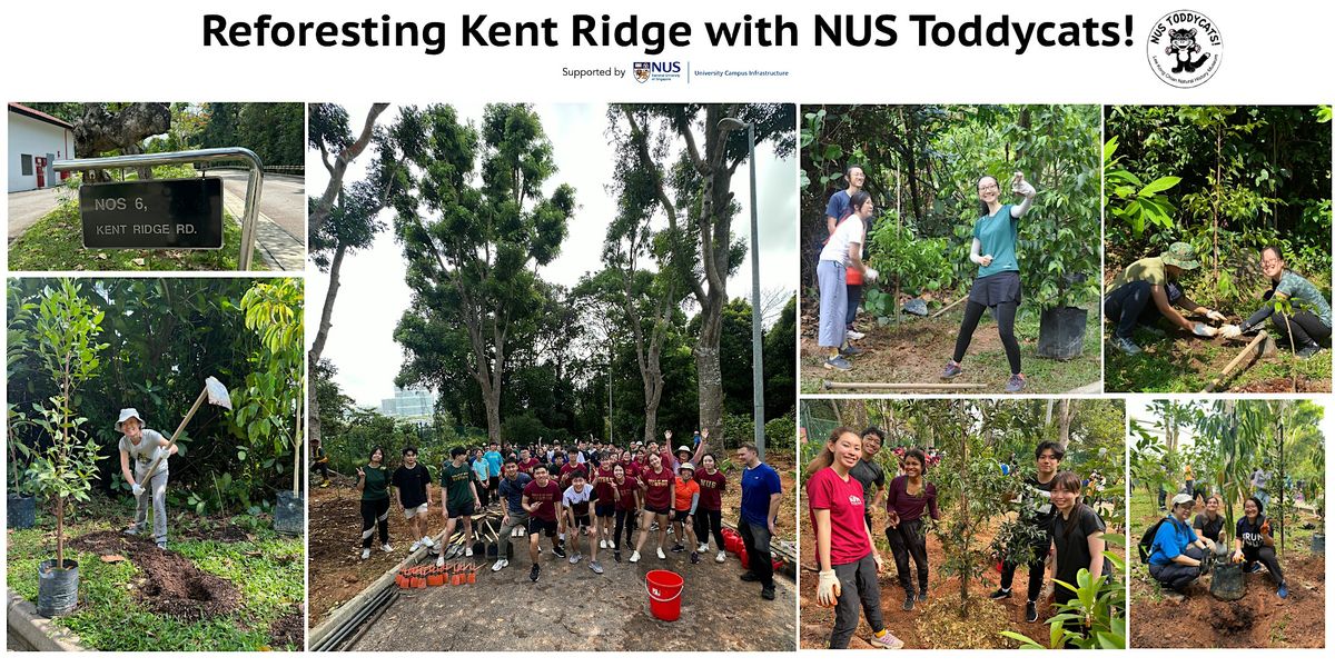 Reforesting Kent Ridge with NUS Toddycats! (Sat 29th Jun 2024)