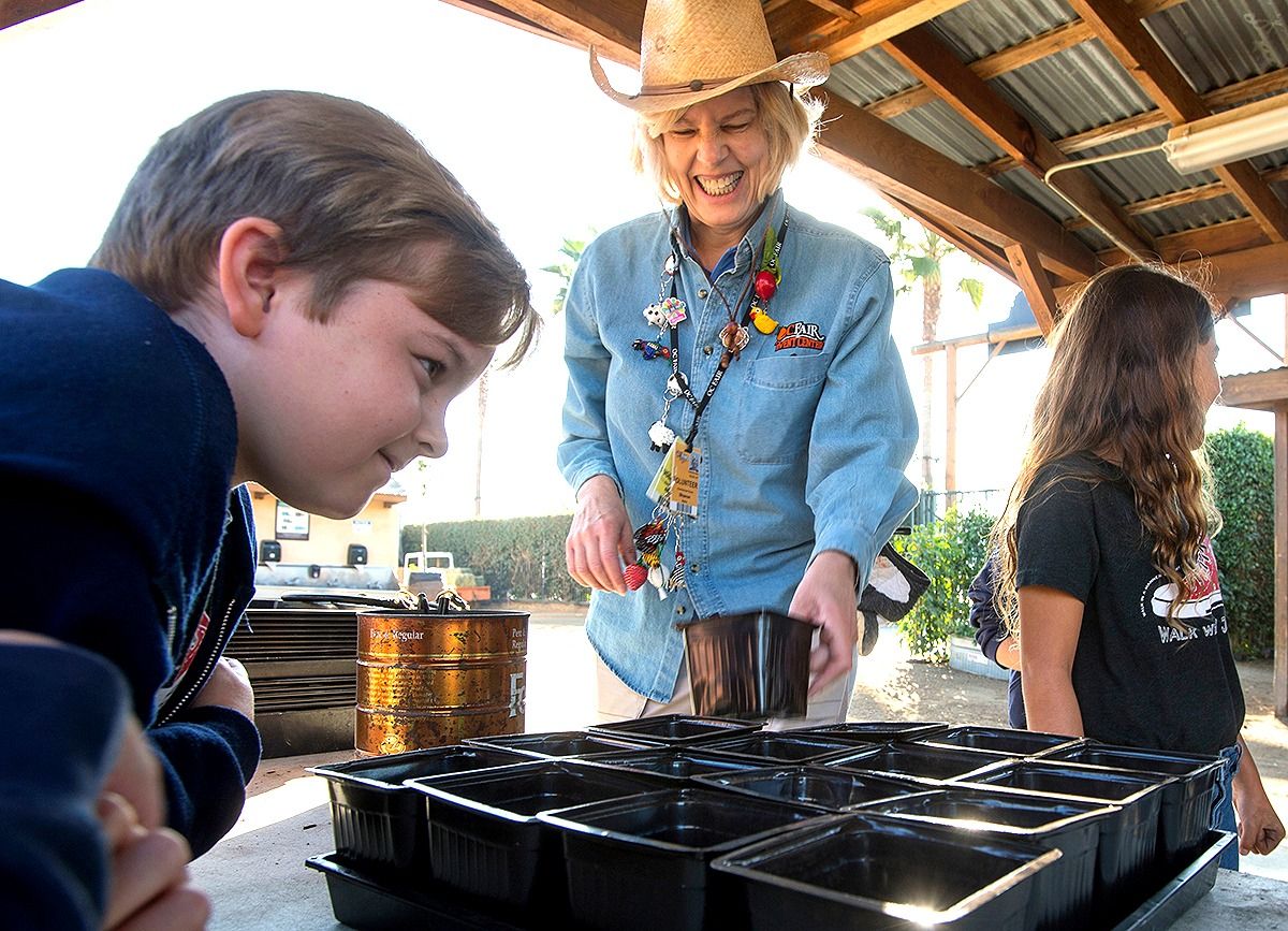 Discovery Day at the Farm