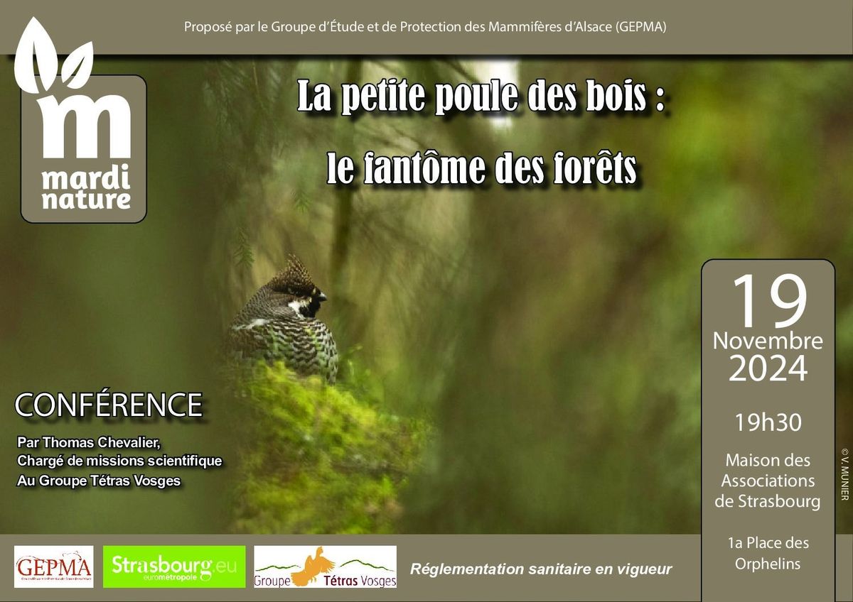 Conf\u00e9rence Mardi Nature : La petite poule des bois - Le fant\u00f4me des for\u00eats