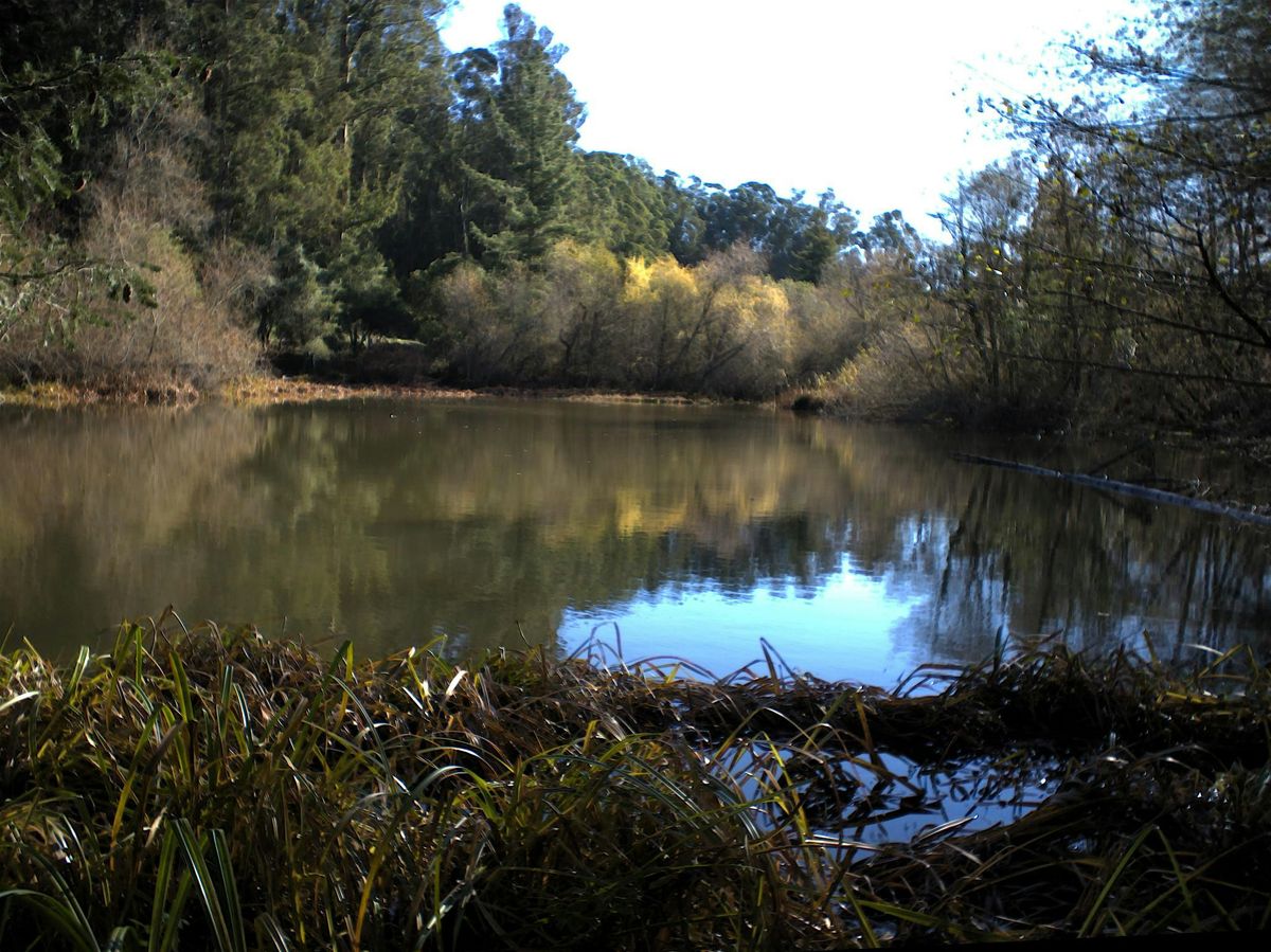 Tilden Park: Jewel Lake to Wildcat Peak