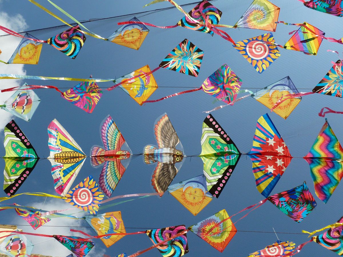 Art Inspired by Kites and Flying Machines! Hands-on, Online