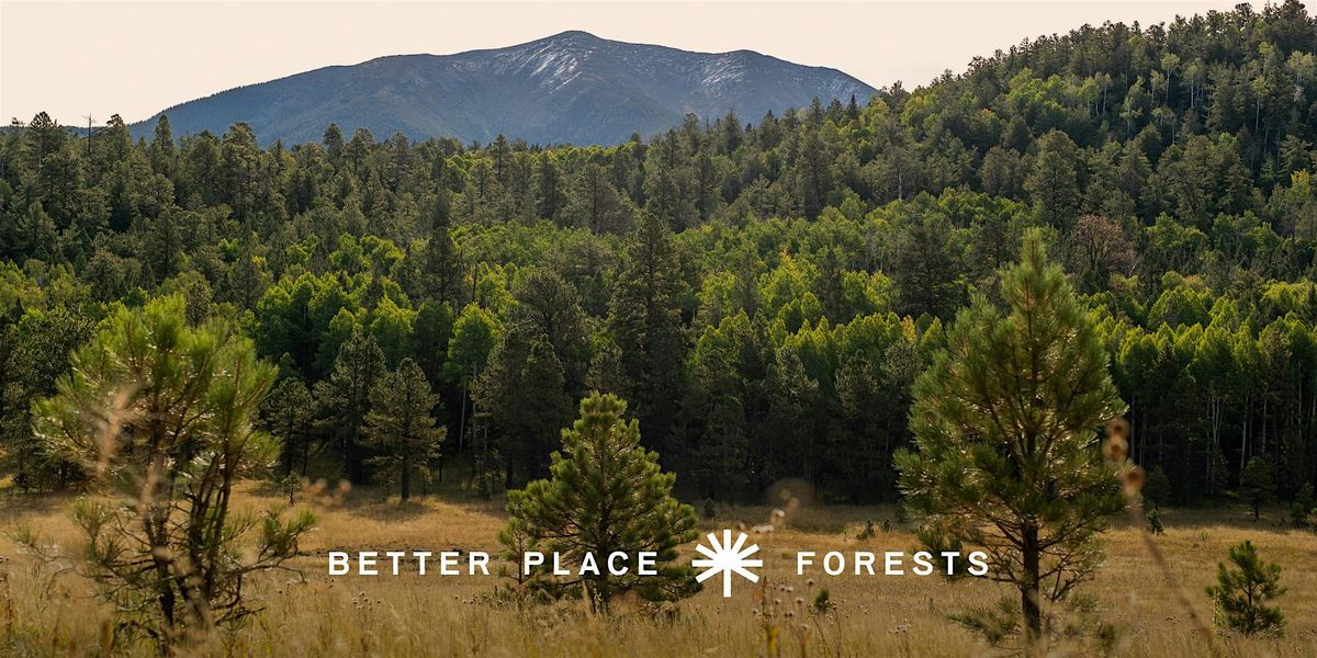 Better Place Forests Flagstaff Memorial Forest Open House