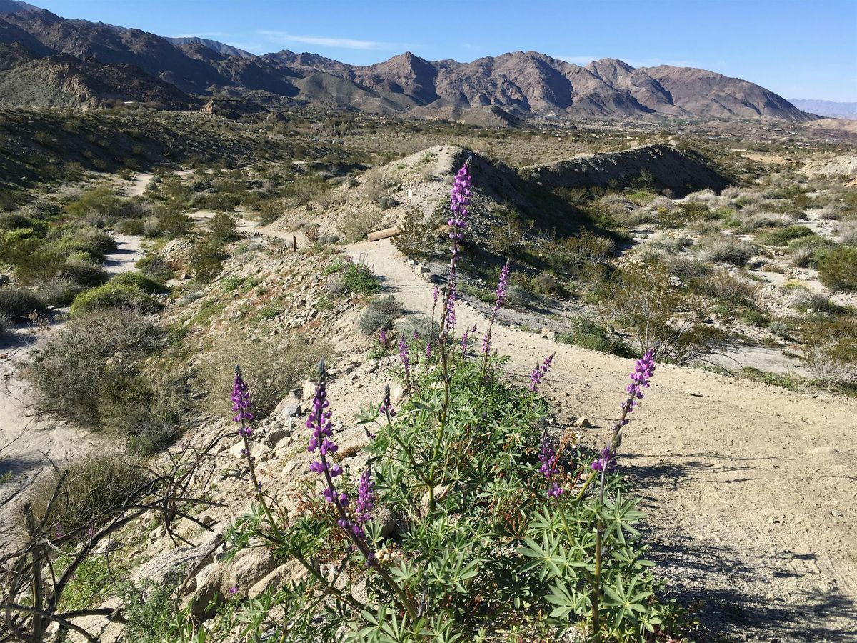 Randall Henderson Trail Interpretative Hike