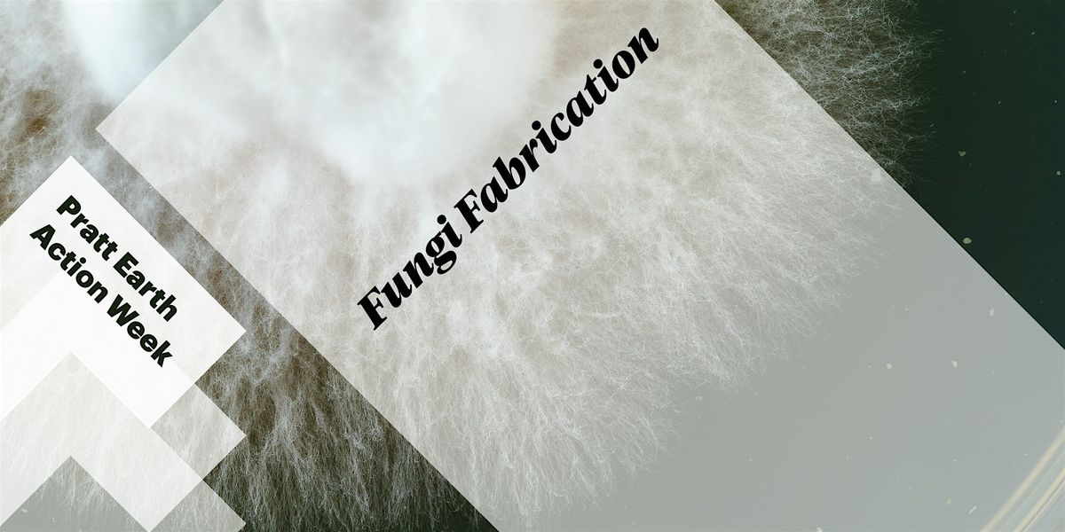 Fungi Fabrication