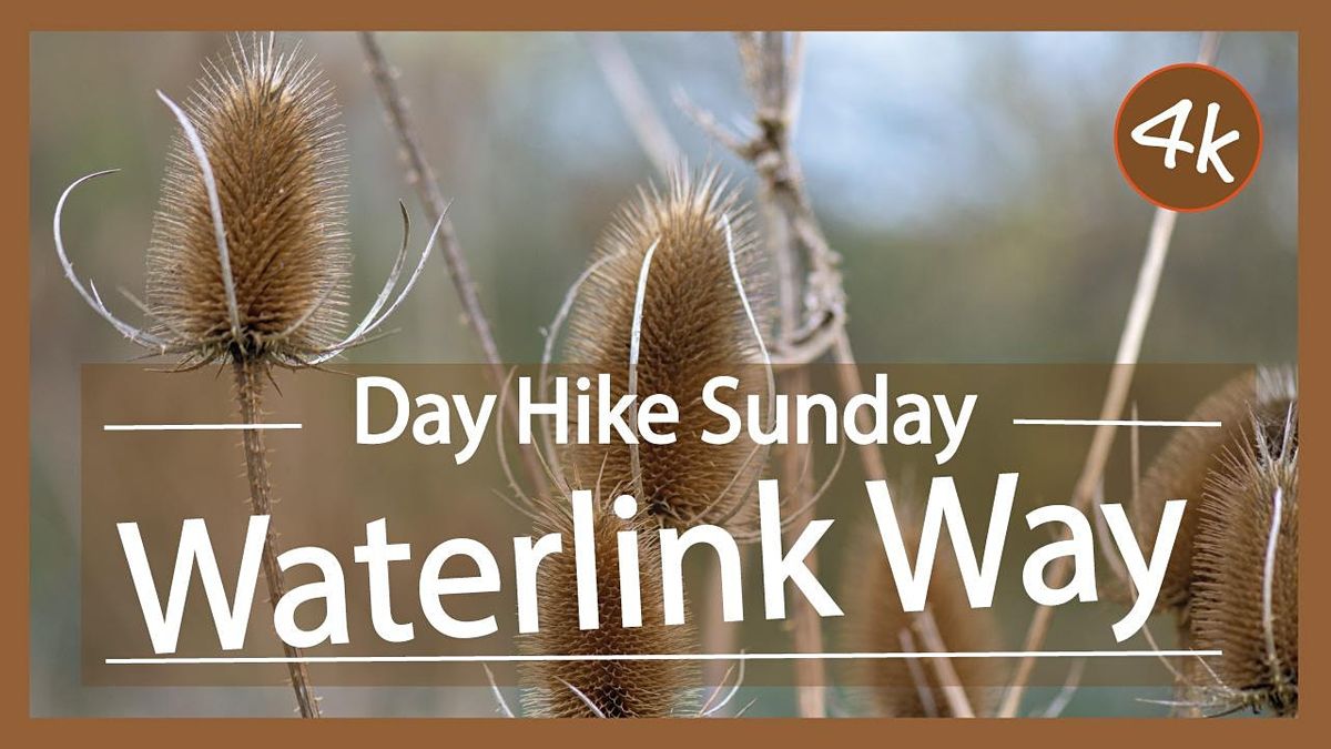 WATERLINK WAY : LOWER SYDENHAM, TO GREENWICH WALK - SUNDAY, Lower ...