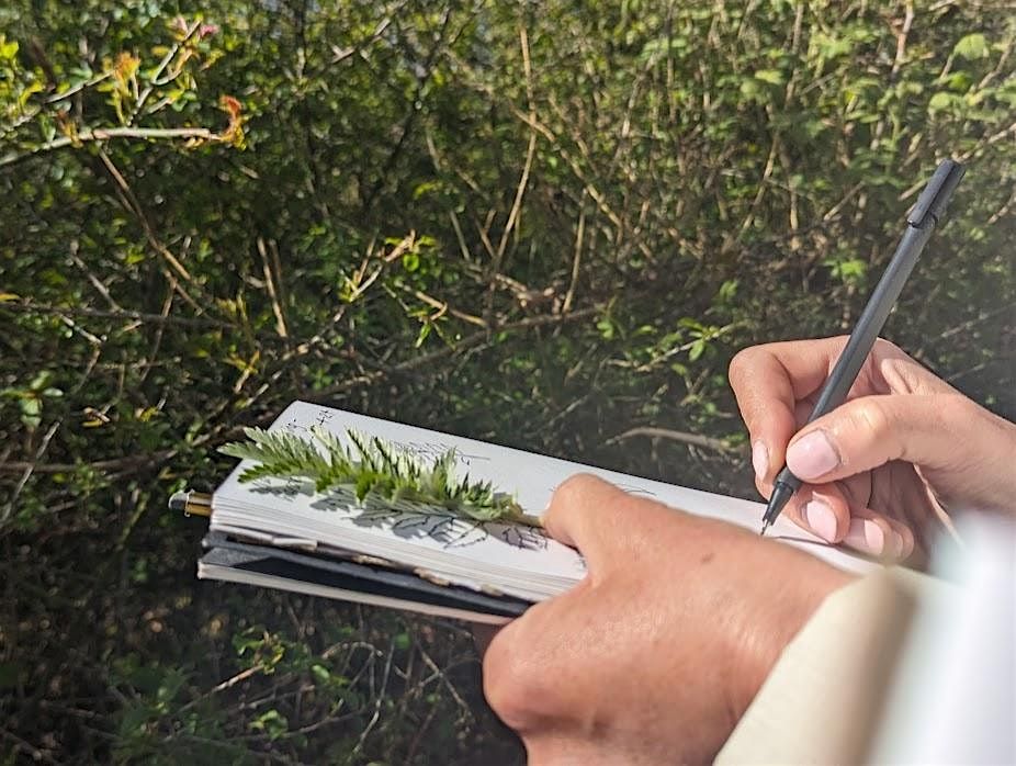 Nature Journaling in Wardens' Wood