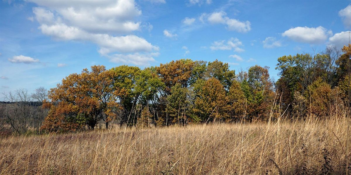 Arbortum Class: Mindfulness in Nature