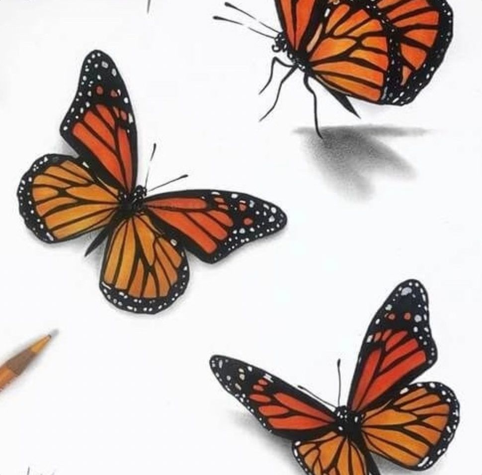 Art Methods for Kids - Drawing with Colored Pencils and Ink