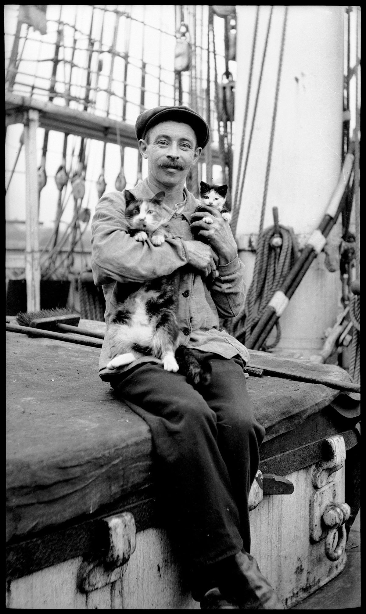Cats Ahoy: How the ship\u2019s cat sailed into Australian history.