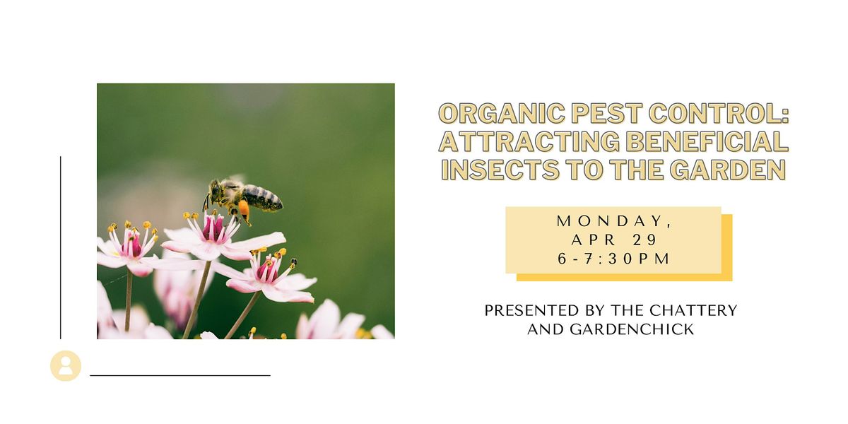 Organic Pest Control: Attracting Beneficial Insects to the Garden