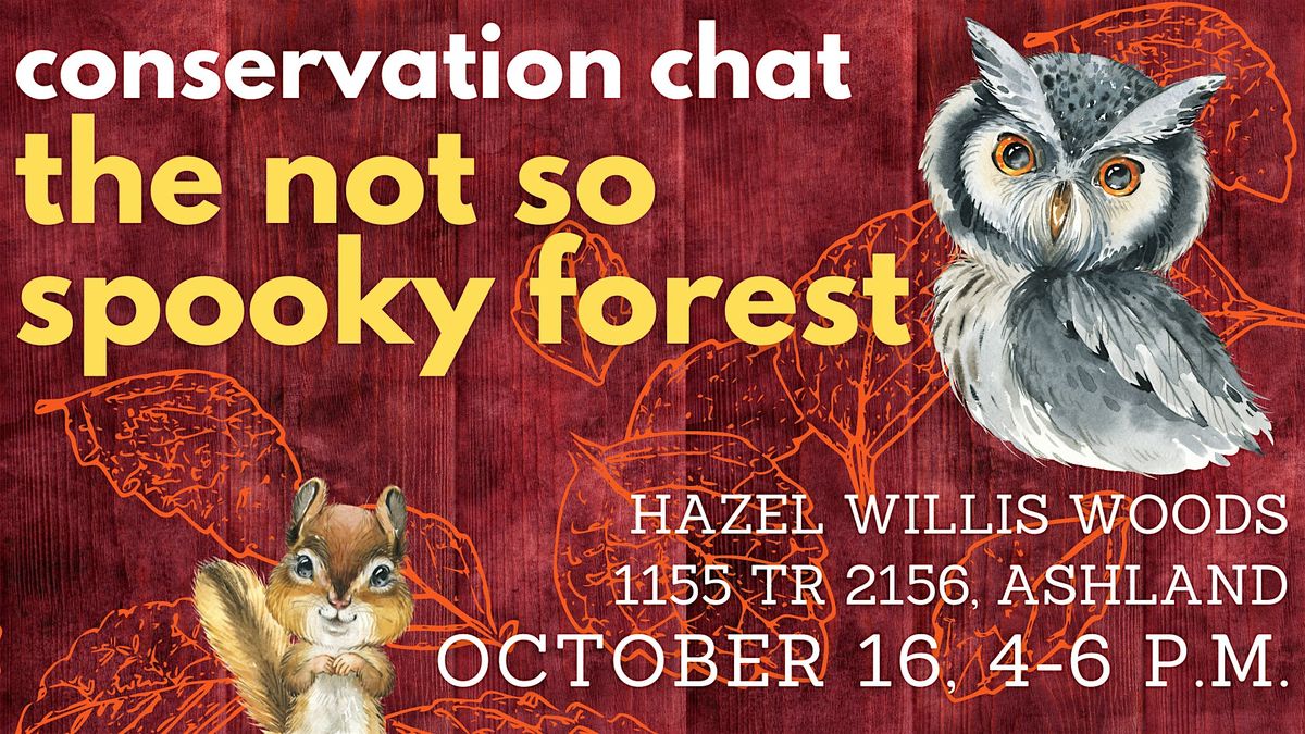 Conservation Chat: The Not So Spooky Forest