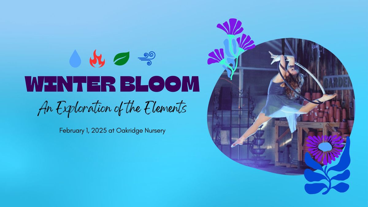 Winter Bloom: An Exploration of the Elements - Aerial Showcase at Oakridge Nursery