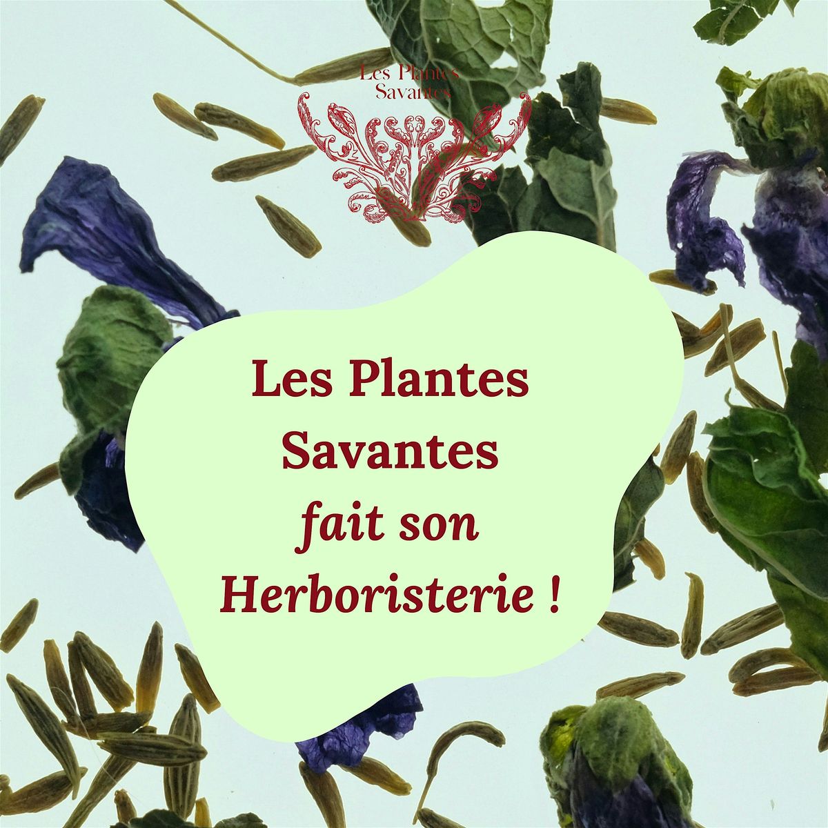 "Les Plantes Savantes" fait son Herboristerie