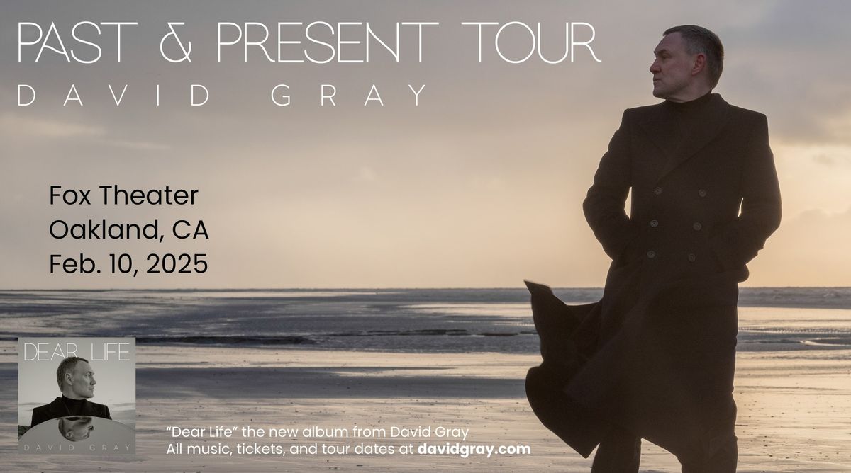 David Gray at Fox Theater