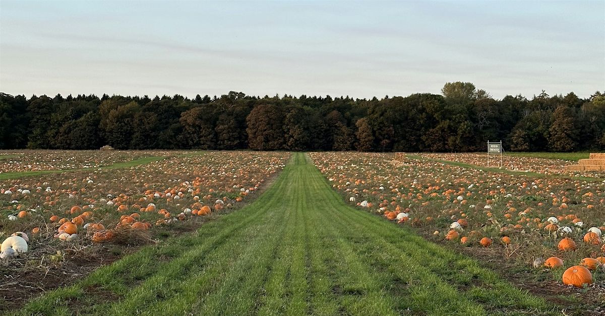 Silent Disco with the Pumpkins